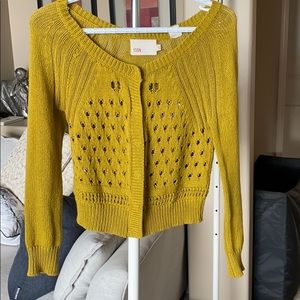 Green Cropped Anthropologie Sweater
